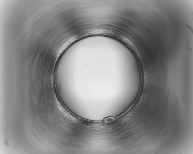 X0000099401330200805291202