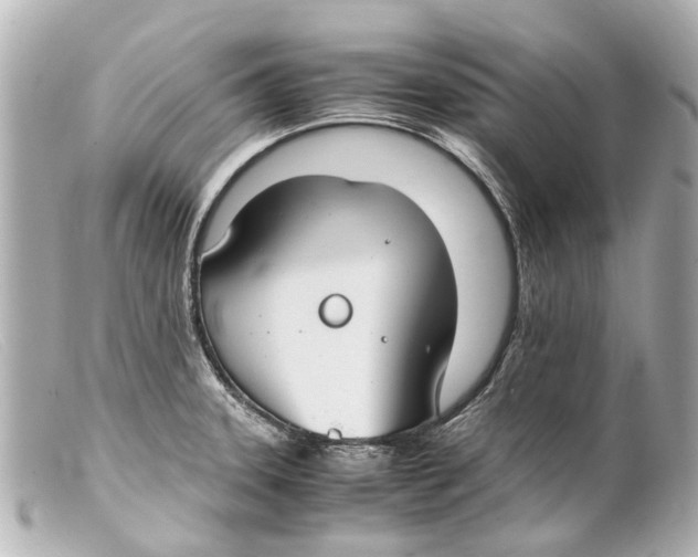 X0000099401331200805291202