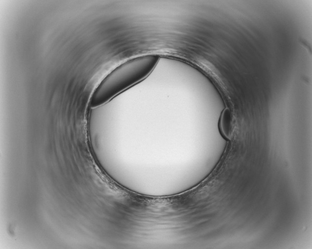 X0000099401332200805291202