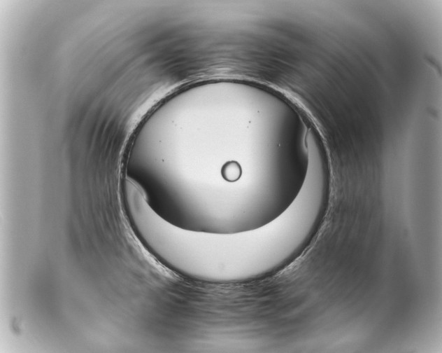 X0000099401333200805291202