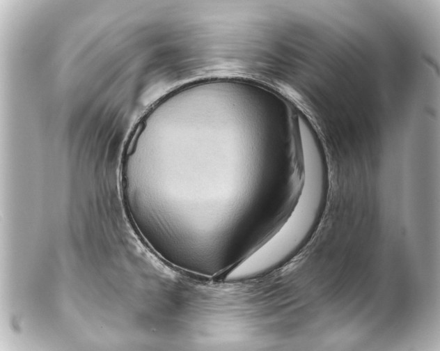 X0000099401334200805291202