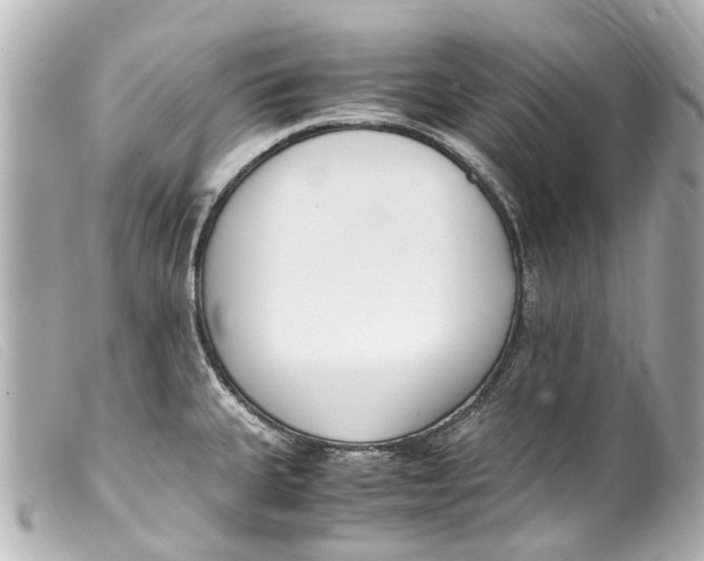 X0000099401335200805291202