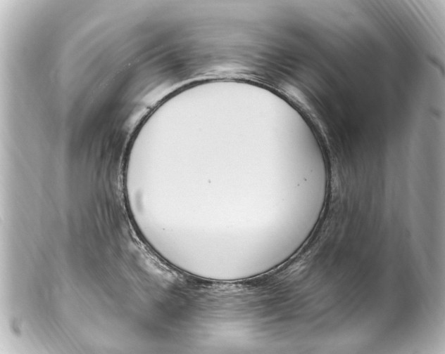 X0000099401336200805291202