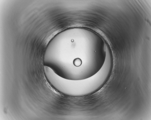 X0000099401337200805291202