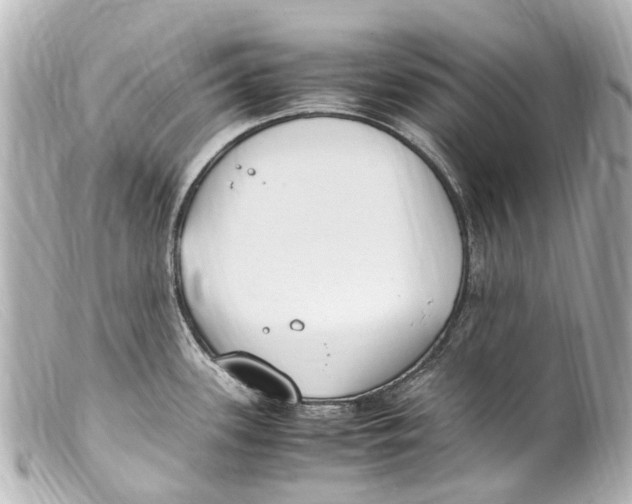 X0000099401339200805291202