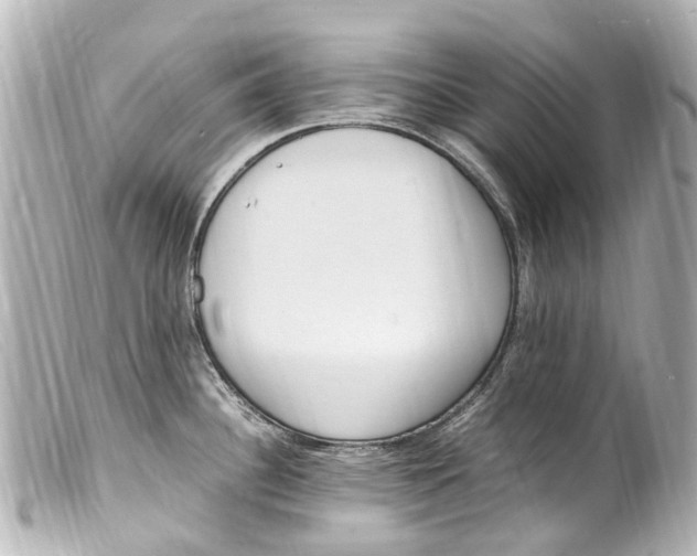 X0000099401340200805291202