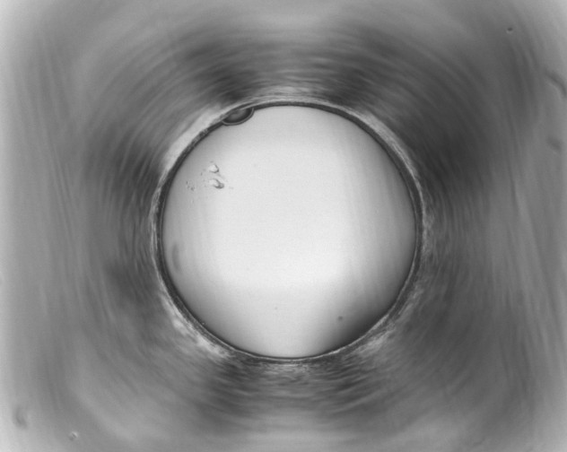 X0000099401341200805291202