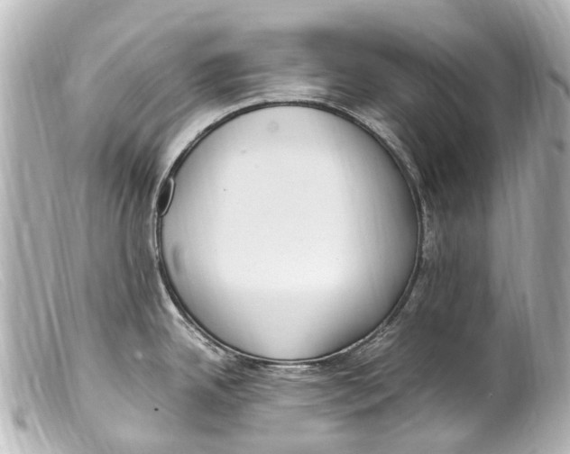 X0000099401342200805291202