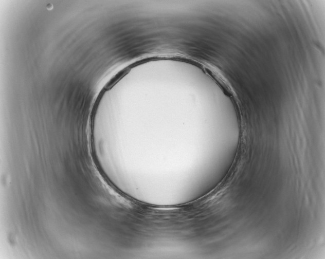 X0000099401343200805291202