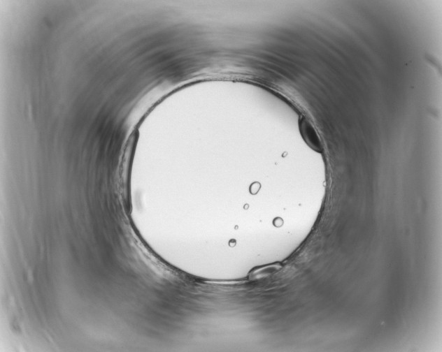 X0000099401344200805291202