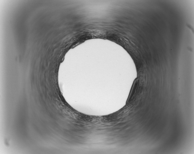 X0000099401345200805291201