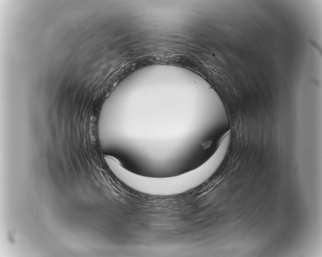 X0000099401346200805291201