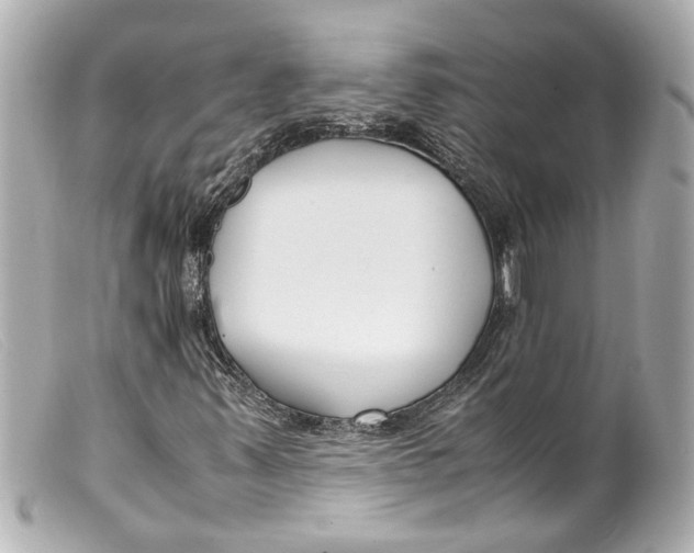 X0000099401347200805291201