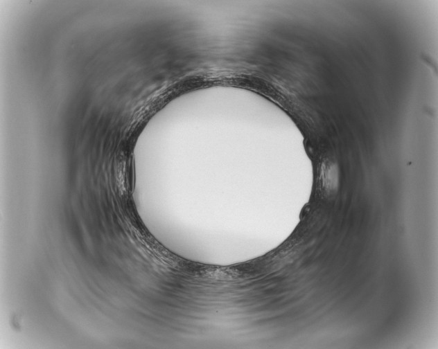 X0000099401348200805291201