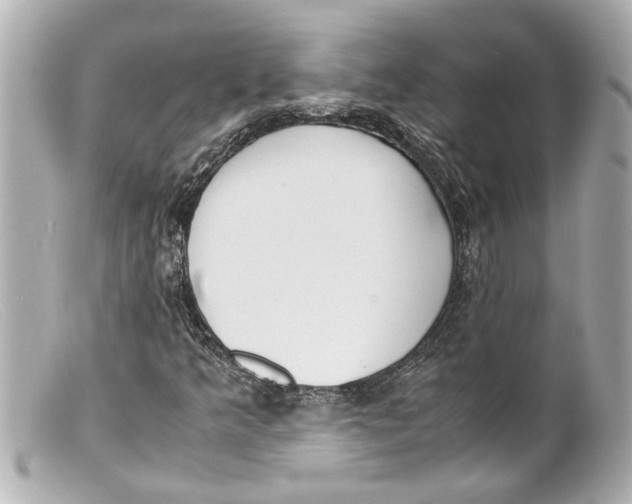 X0000099401349200805291201