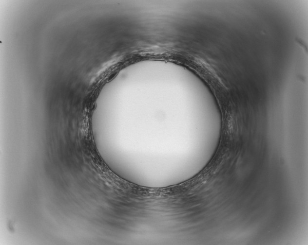 X0000099401350200805291201