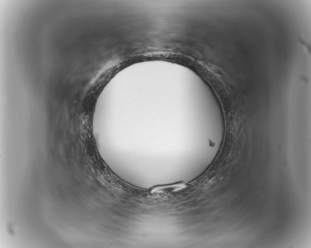 X0000099401351200805291201