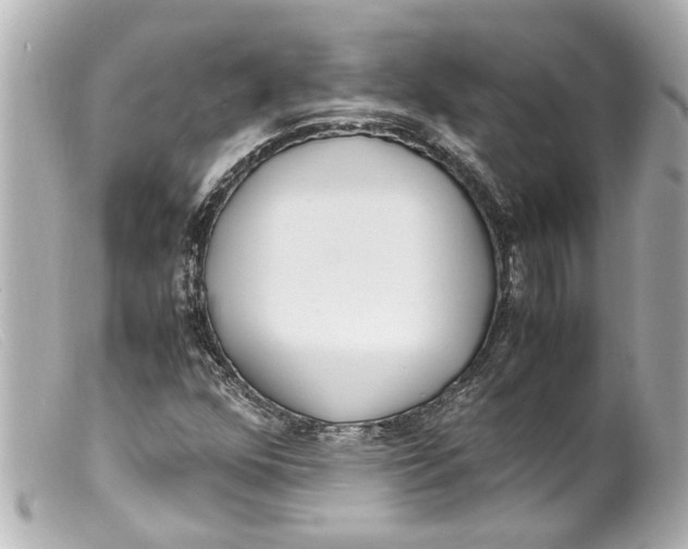 X0000099401352200805291201