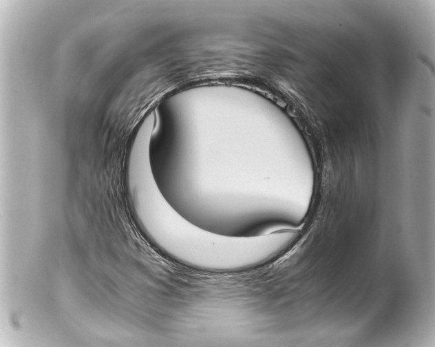 X0000099401353200805291201