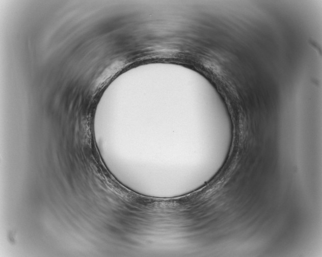 X0000099401354200805291201