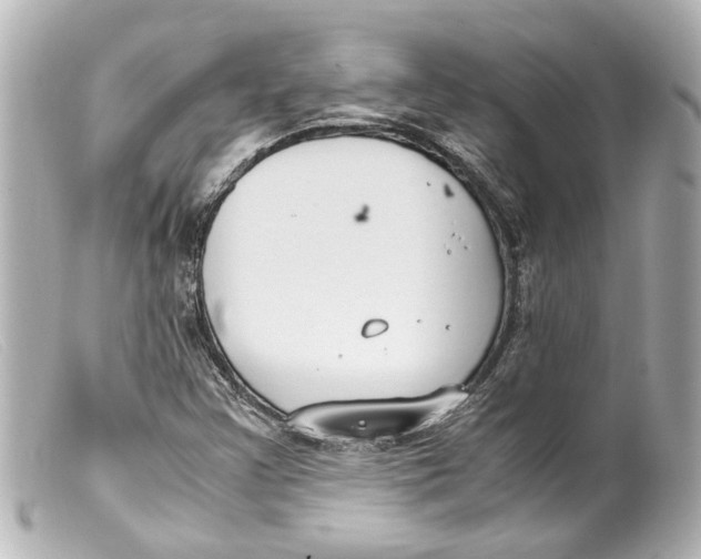 X0000099401355200805291201