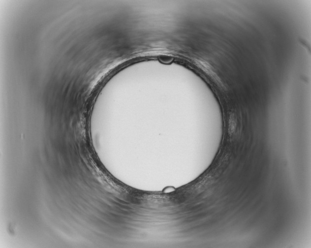 X0000099401356200805291201