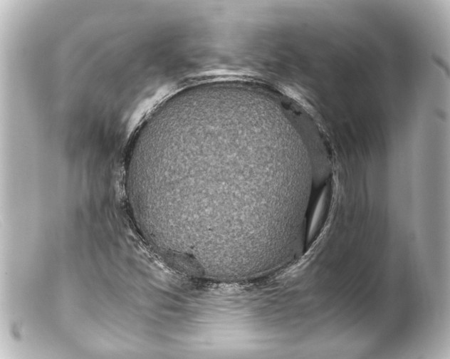 X0000099401357200805291201