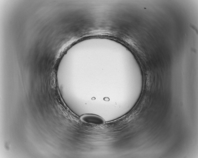 X0000099401358200805291201