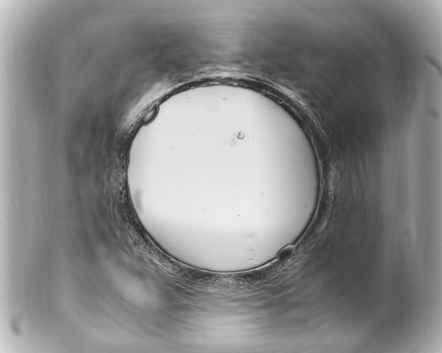 X0000099401359200805291201