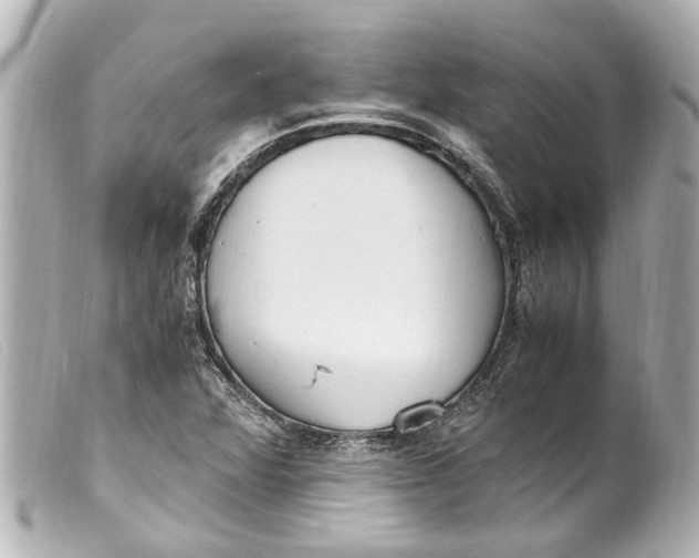 X0000099401360200805291201