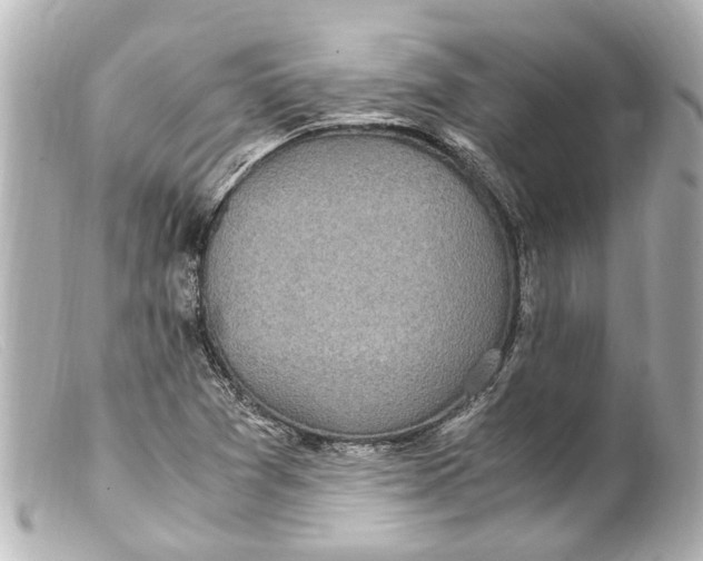 X0000099401361200805291201