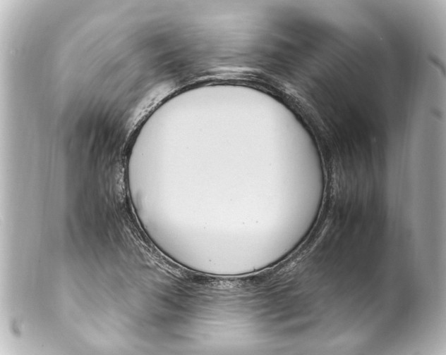 X0000099401362200805291201