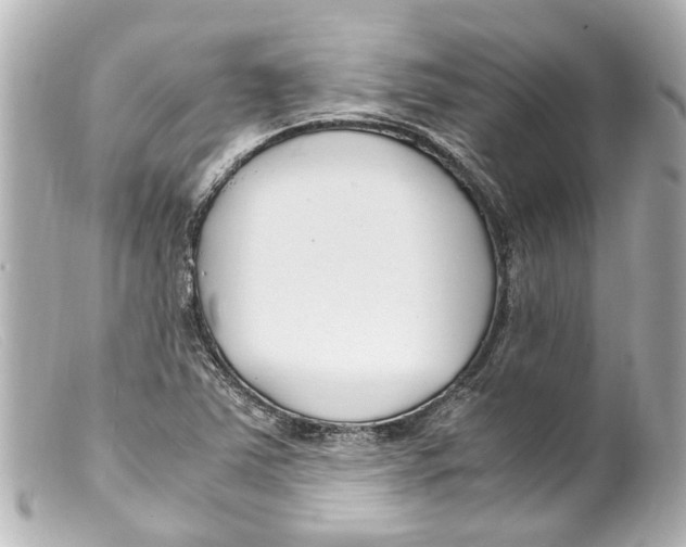 X0000099401363200805291201