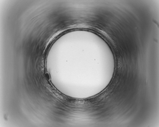 X0000099401364200805291201