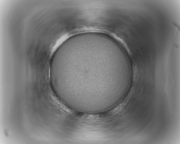 X0000099401365200805291201