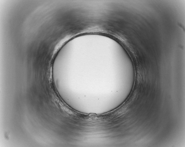 X0000099401366200805291201