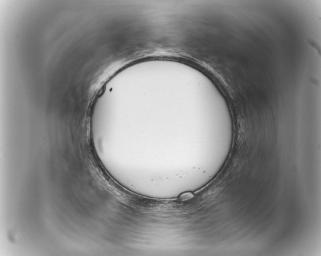 X0000099401367200805291201