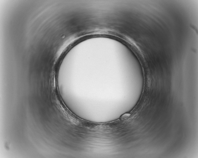 X0000099401368200805291201