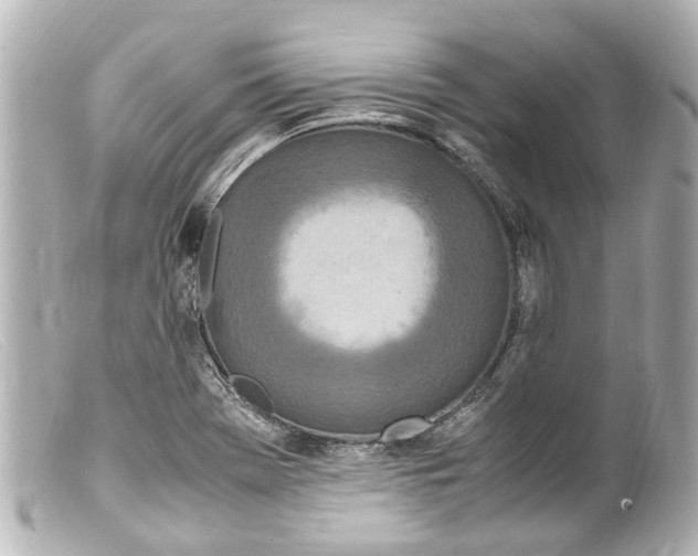 X0000099401369200805291201