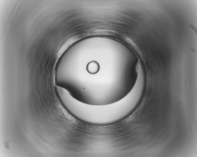 X0000099401370200805291201