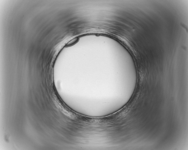 X0000099401371200805291201