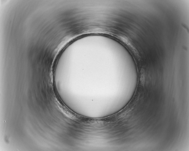 X0000099401372200805291201