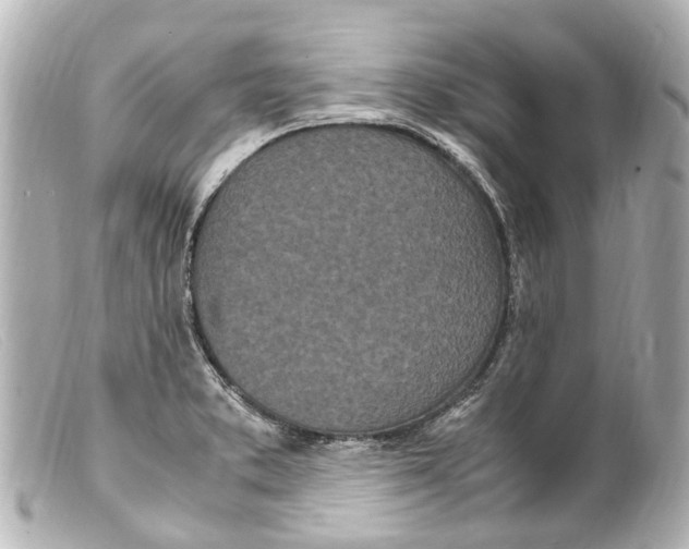 X0000099401373200805291201