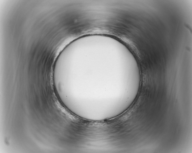 X0000099401374200805291201