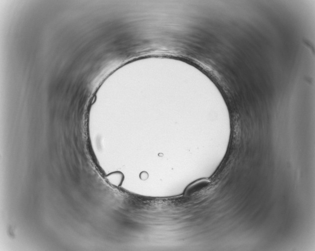 X0000099401375200805291201