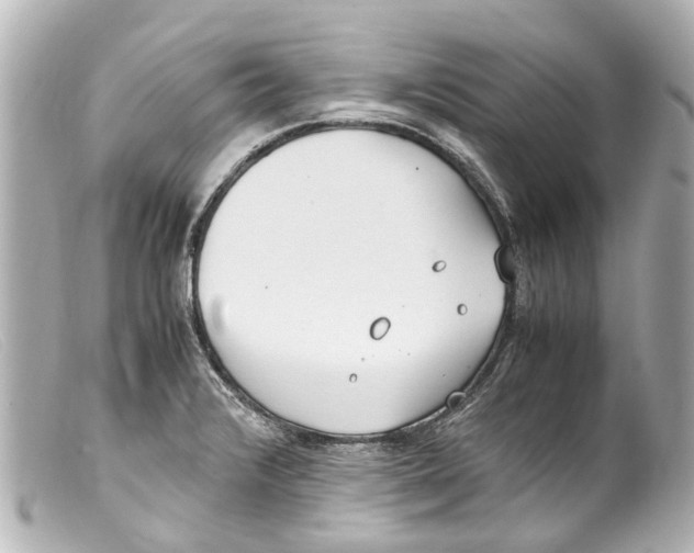 X0000099401376200805291201