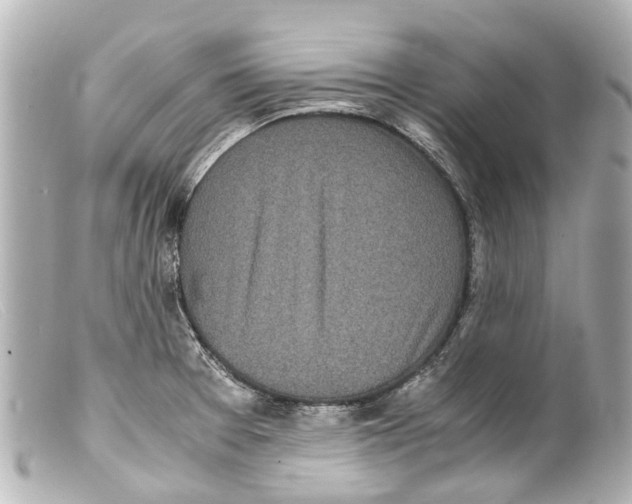 X0000099401377200805291201