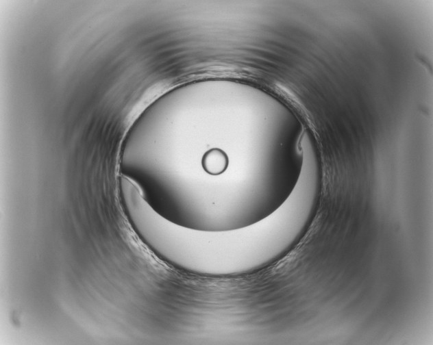 X0000099401378200805291201