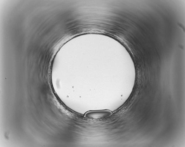 X0000099401379200805291201