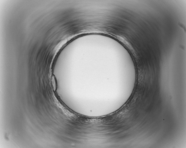 X0000099401380200805291201